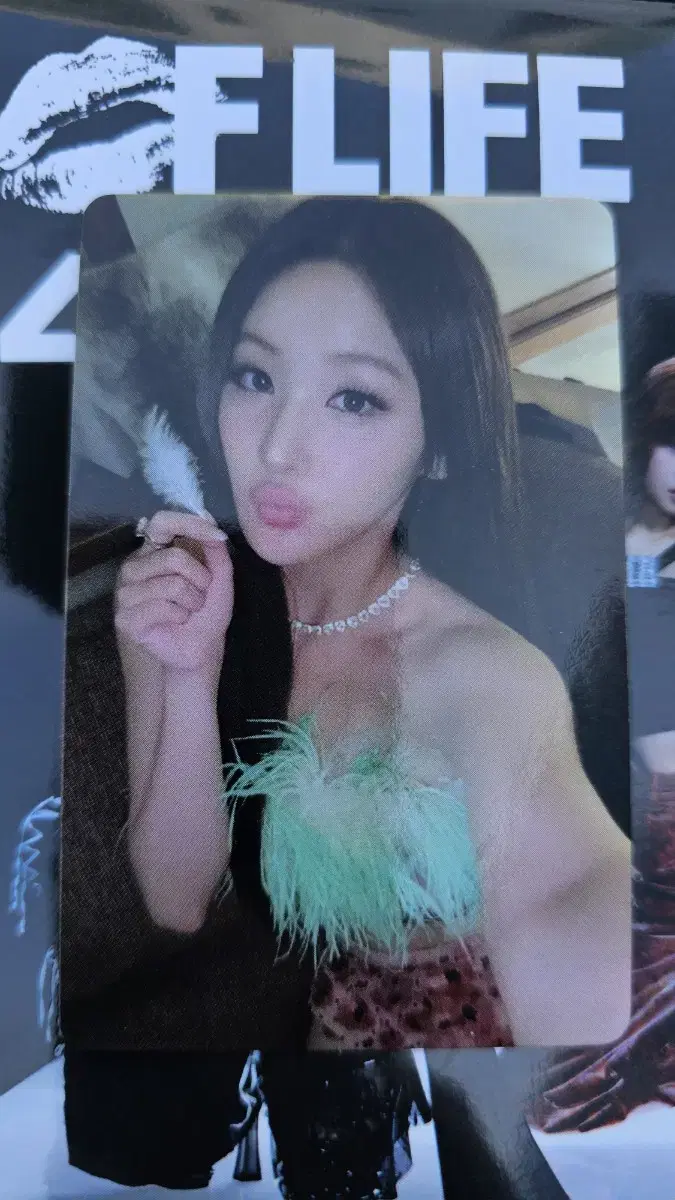 키스오브라이프 벨 lipshipskiss 공방포카 양도합니다.