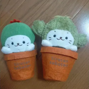 시로탄 선인장 봉제 인형