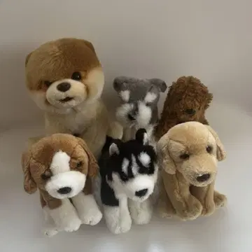 RECALO 레가로 봉제 인형 강아지 강아지 모음