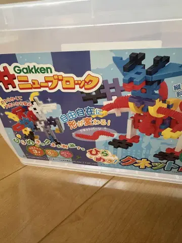 가쿠엔 뉴 블록