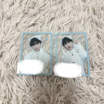 쿠사카와 나오야 NAOYA 고양이의 날