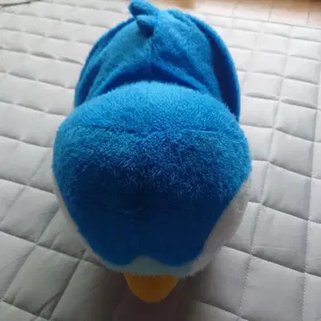 포켓몬 몬스터  휴식 타임  엄청나게 큰 팽도리 봉제 인형  약 20cm