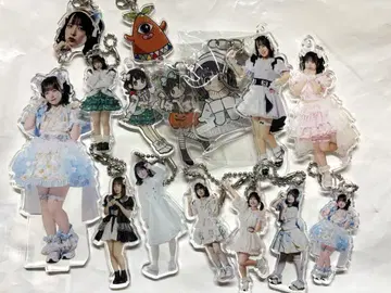 Appare! 후지미야 메이 굿즈 세트