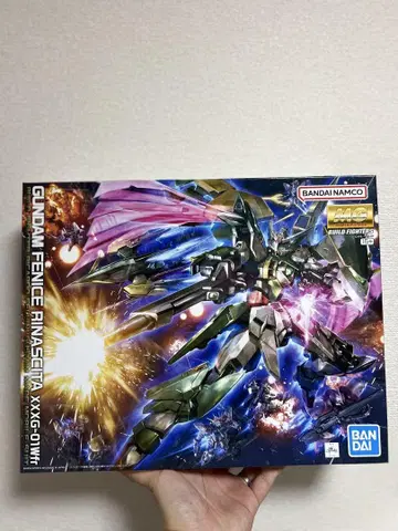MG 1/100 건담 페니체 리나시타