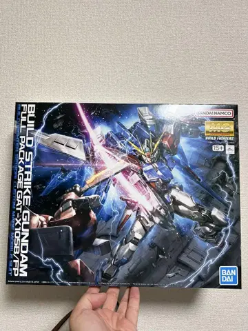 MG 1/100 빌드 스트라이크 건담 풀 패키지