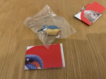 초코 Q 네이처 테크니컬러 일본 생물 카와세미 도서 재판매