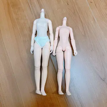 오비츠 바디 2개 세트