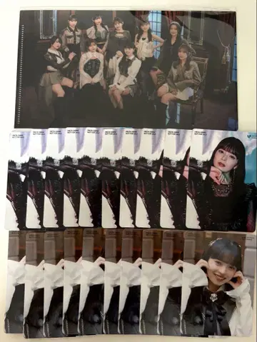 카미코쿠료 모에 트레이딩 카드 티켓 홀더 세트