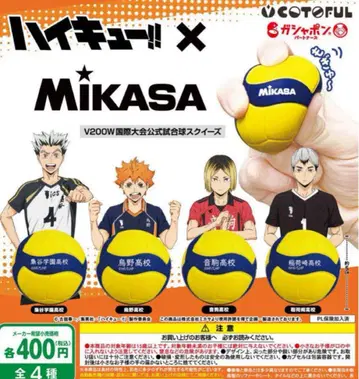 하이큐! MIKASA 스퀴즈 전 4종 컴프 세트