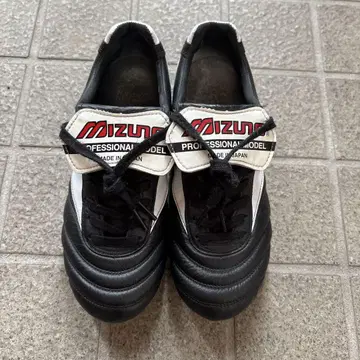 모레리아 2JAPAN 23cm