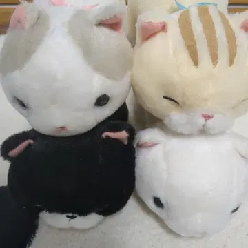 노비노비 만치칸 고양이 봉제 인형 4종 세트