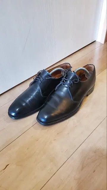 Lloyd Footwear 로이드 풋웨어 8332 드레스 신발