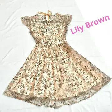 Lily Brown 꽃무늬 자수 플레어 원피스 경사 원피스