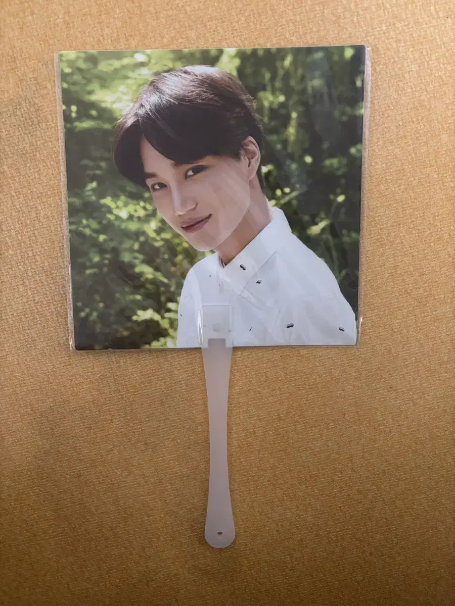 엑소 카이 네이쳐 부채
