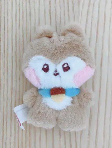 IVE minive minini 키링 가울 다리