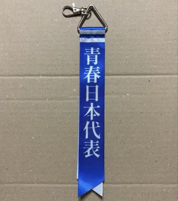 새로운 학교의 리더들 청춘의 일본 대표 리본 키링