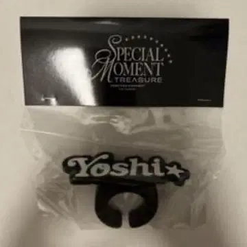 Yoshi 키링 SPECIAL MOMENT TREASURE