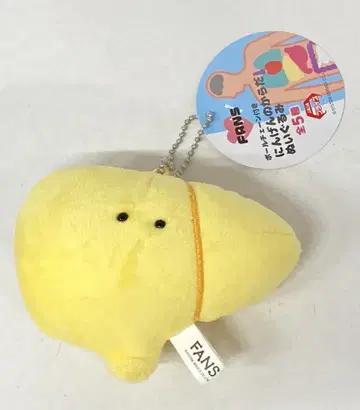 시스템 서비스 인간의 몸 봉제 인형 간장/공 체인 봉제 인형