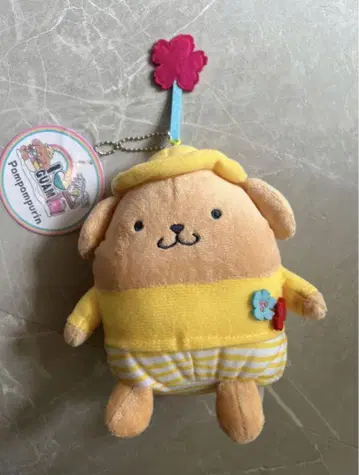 괌 한정판 일광화상 폼폼푸딩