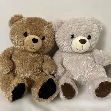 Dear bear BIG 봉제 인형 세트