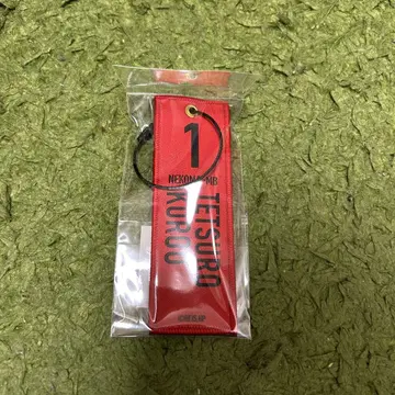 극장판 하이큐 전 쓰레기장 결전전 플라이트 택 키링