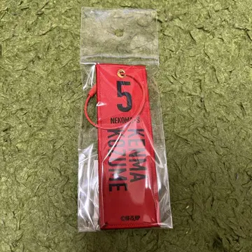 극장판 하이큐 전시회 쓰레기장 결전전 플라이트 택 키링