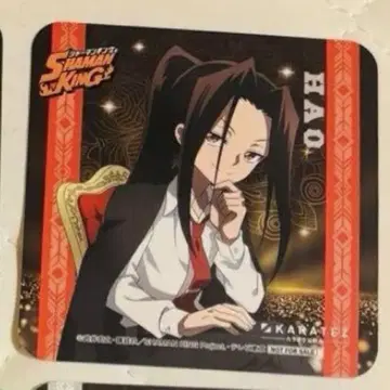 SHAMAN KING 샤먼킹 가라오케의 철인 코스터 하오