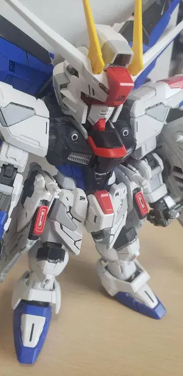 MGSD 프리덤 건담 조립 완료