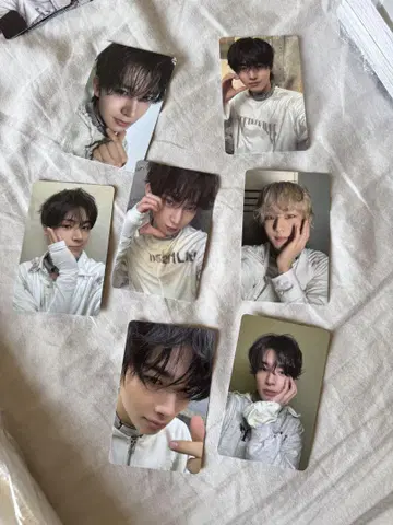 ENHYPEN 타워 샵 혜택 카드 7장