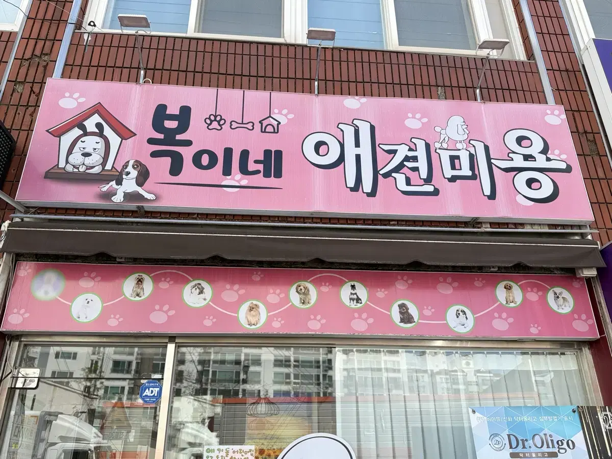 복이네 애견미용