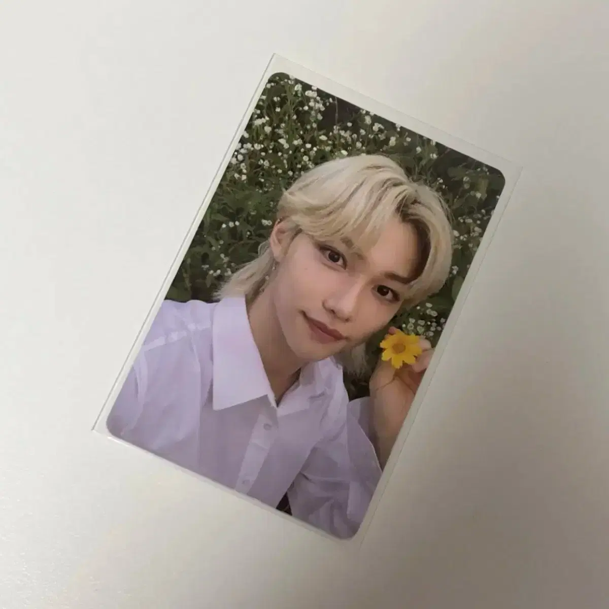 스트레이키즈 스키즈 필릭스 포카