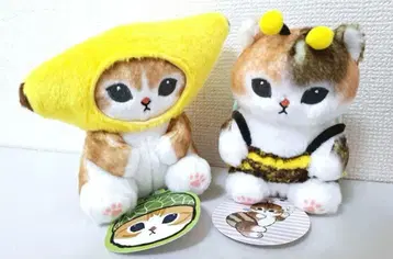 미쓰바치냥 후르츠냥