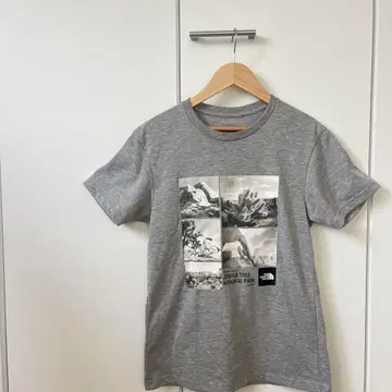 The North Face 국립 공원 티셔츠 그레이