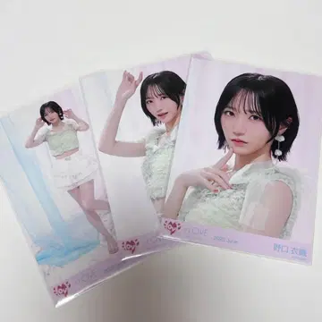 노구치 이오리 브로마이드 컴프