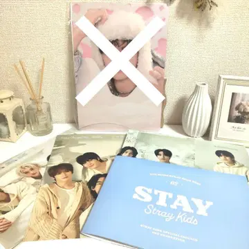 스키즈 포스터 straykids skz