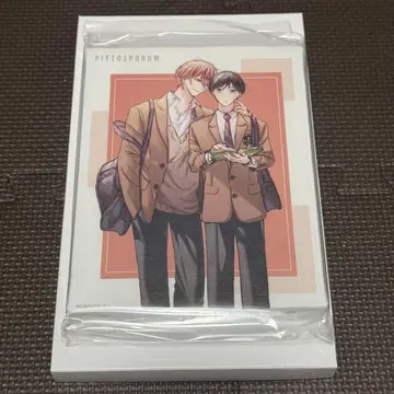 피트스포르름 캔버스 아트