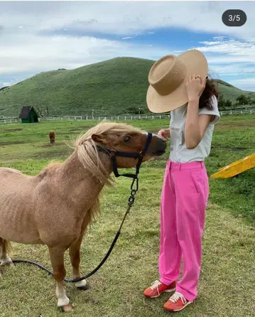 my samoyed 핑크 팬츠