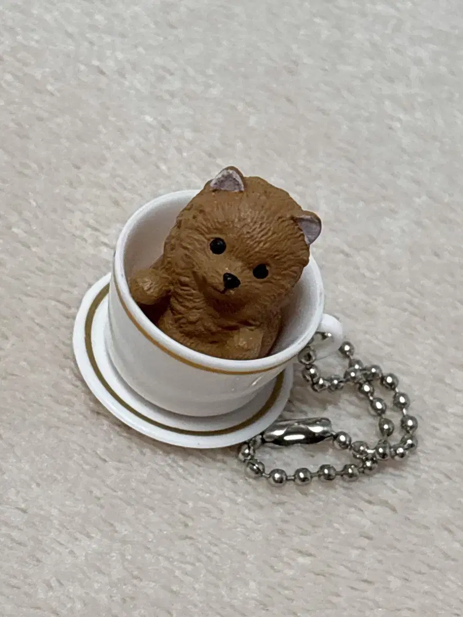 강아지 컵 가챠 갈색 티컵 푸들 키링