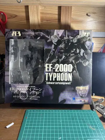 레어 보크스 A3 EF-2000 Typhoon 아이히베르거 소령 기체