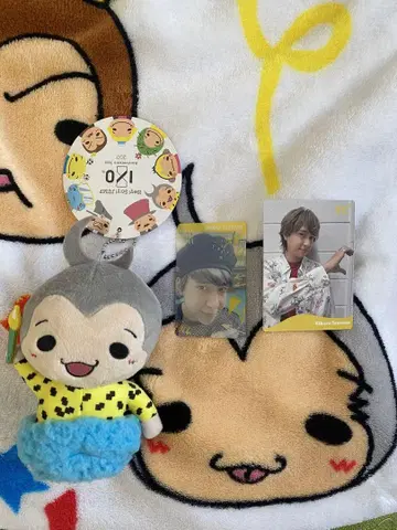 Hey! Say! JUMP 야오토메 히카루 9푸 봉제 인형 카드 포함