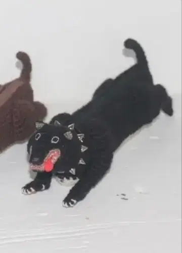 경비견 블랙 파우치 펜 케이스 핸드메이드