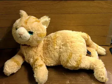 선 레몬 무릎 고양이 봉제 인형 (S) 브라운 [36cm] 무거운 고양이