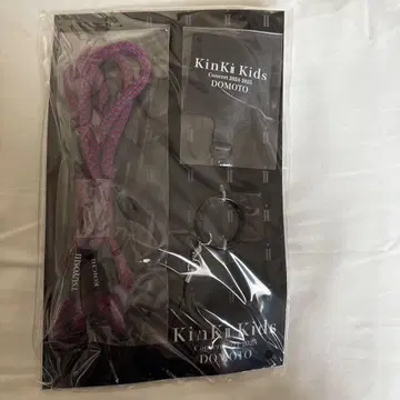 KinKiKids 2024-2025 Concert DOMOTO 폰 탭