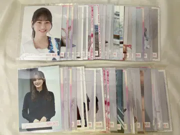 사쿠라자카 브로마이드 51장