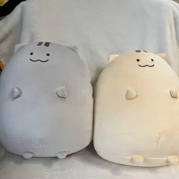 니와네코 봉제 인형 세트