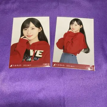 카와사키 사쿠라 칼리지 브로마이드 요리 츄