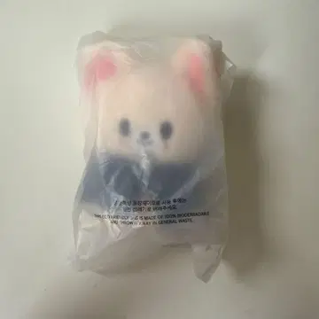 스트레이키즈 SKZOO 10cm 아이엔 포크시니 인형
