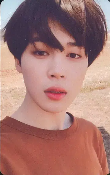 BTS 지민 LOVE YOURSELF 리믹스 'Tear' Y
