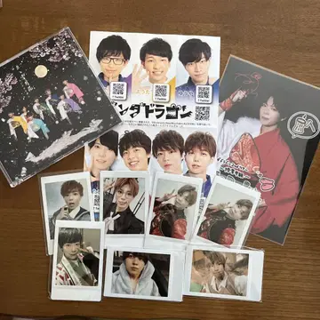 팬더 드래곤 폴라로이드 CD 2L 전단지
