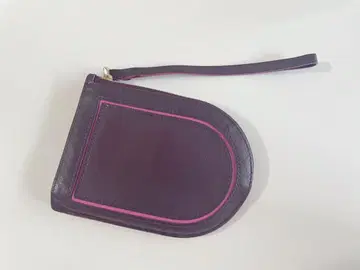 델보 코인 케이스
